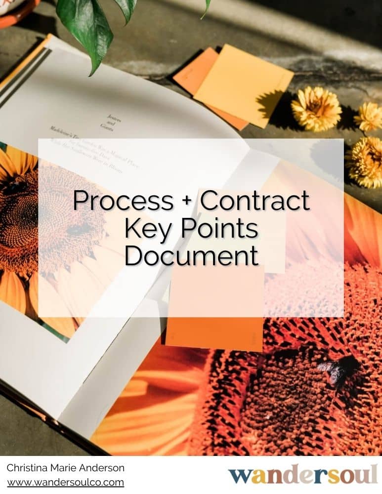 Guide: Process and Contract Key Points Document